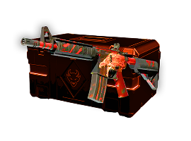 Case Carbon 1